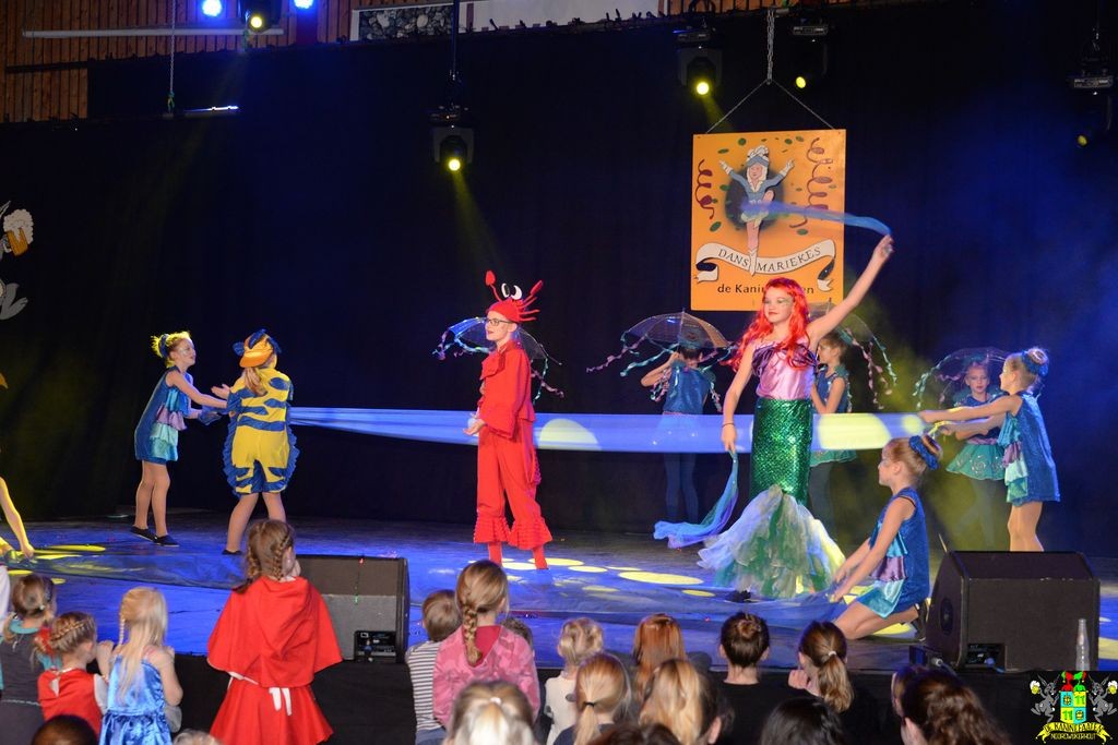 ../Images/Dansmarieke festival 2018 252.jpg